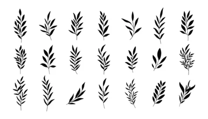 Fotobehang Set of silhouettes of branches and leaves. Hand drawn vector botanical elements © przemyslaw