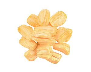 Jackfruit isolated on transparent png