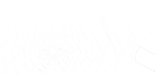 white cracked texture