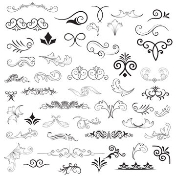 Vector graphic elements for design vector elements. Swirl elements decorative illustration. Classic calligraphy swirls, swashes, floral motifs. Good for greeting cards, wedding invitations,