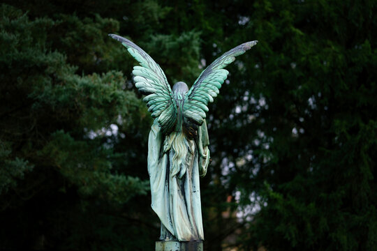 rear view of a large angel figure with wings and long hair in a cemetery against a blurred dark green background - Powered by Adobe