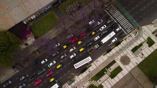 Top view of traffic in Buenos Aires, static shot,  pedestrians crossing the road, cars letting people pass, colorful picture