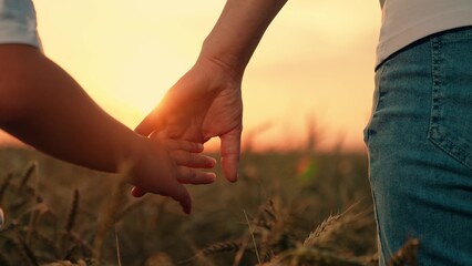 Child son, mom hold hands close-up in nature in sun. Happy family, together in wheat field. Child mother walk in spring park at sunset, family trust concept. Parent, Adoption kid boy outing together