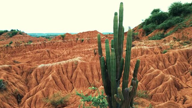 Desierto de la tatacoa - Huila Colombia