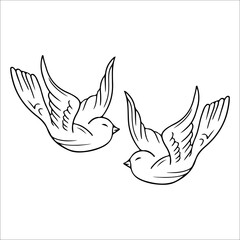vector illustration of a pair of birds