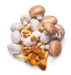 Different mushrooms isolated on white, top view