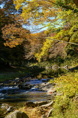 Fototapeta na wymiar 綺麗な渓谷の秋景色