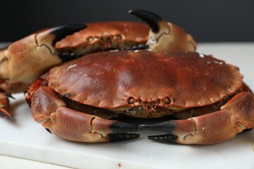 Delicious boiled crabs on white table, closeup