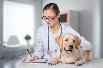 cute smart dog sitting against veterinarian