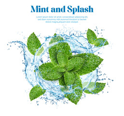 Realistic water splash with green mint leaves. Menthol flavor, fresh ice tea. Mint leaves fresh mouth wash, menthol natural soda or herbal tea frozen motion 3d vector splatters, cold drink ripples - obrazy, fototapety, plakaty