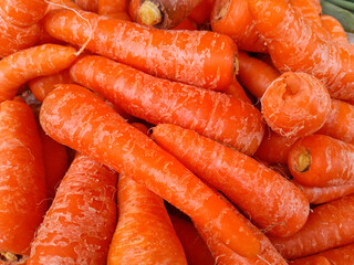 macro photo of food vegetable organic carrot. texture background of fresh large orange organic carrots.