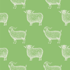 Goats, rams, sheeps seamless pattern vector background with engraved animals. Repeating decorative backdrop with farm animal in field. Domesticated ruminant for print, paper, card, textile, design