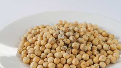 カビの生えてしまった大豆