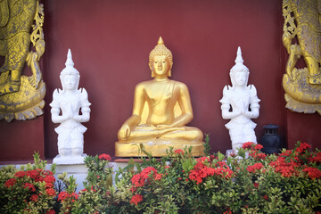 Gold sitting buddha statue on wall background and red flower  in temple , Chiang Mai Thailand