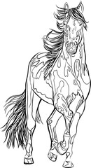 Line illustration of elegant horse walking