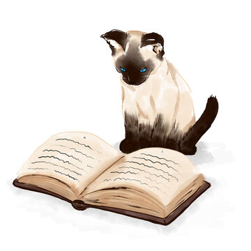 Siamese kitten reading book