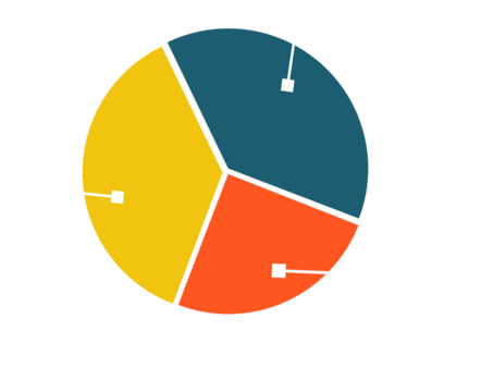 pie chart icon