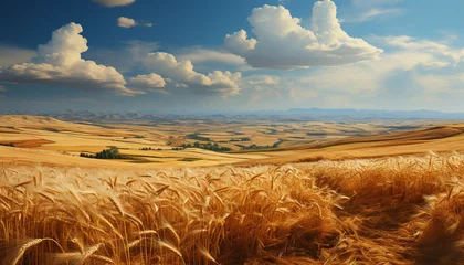 Tapeten Tranquil meadow, rolling wheat, sunset paints nature beauty generated by AI © djvstock