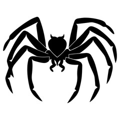 Spider vector illustration black color, spider animal vector silhouette