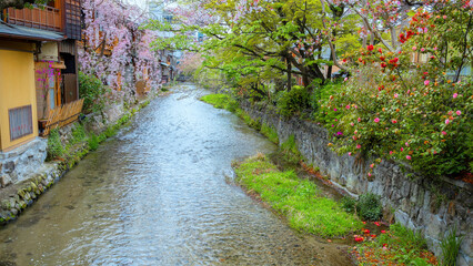 Shinbashi dori n Kyoto, Japan is the place where Gion-ochaya Teahouses stand side by side on the street coupled with the running of Shira-kawa River