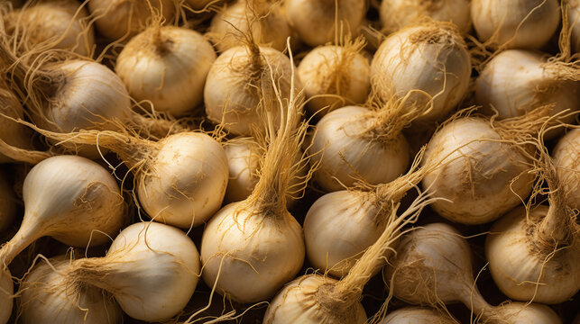 Top view full frame of whole ripe maca placed together as background.