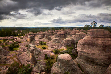 Stone garden, volcanic landscape in summer in Mexiquillo Durango