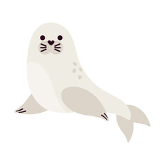 arctic animal seal
