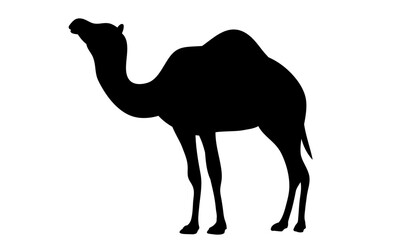 CAMEL silhouettes on white background. / dromedary camels / camel vector illustrations.	
