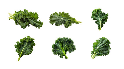 Collection of PNG. Kale isolated on a transparent background.