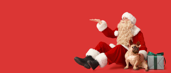 Santa Claus with Christmas gift and French bulldog showing something on red background with space for text