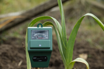 Soil moisture meter placed in garden, surrounded by plants