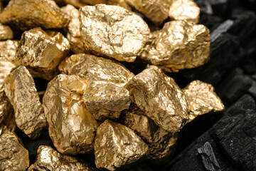 Golden nuggets on black charcoal, closeup