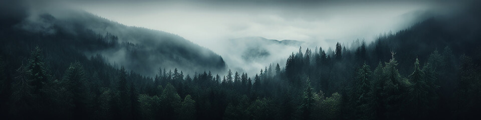a long narrow panorama of a coniferous northern forest in the fog of an autumn day, a landscape of wildlife - obrazy, fototapety, plakaty
