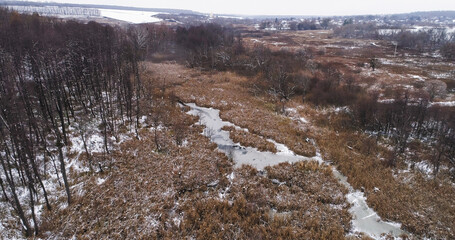 Frozen swamp. Aerial winter park. Drone view of frozen marsh with dry brown grass and ice dull cold morning in countryside.