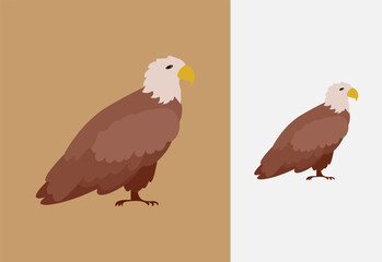 Eagle, eagle head logo design pro vector with golden and black color