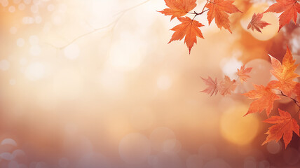 Obraz premium maple leaves on abstract blurred background with bokeh copy space, light bright autumn background for text