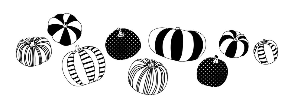 Modern painted halloween pumpkin illustration set. Fall season harvest vegetable collection for october holiday celebration or thanksgiving event. Decorative hand drawn element.	
