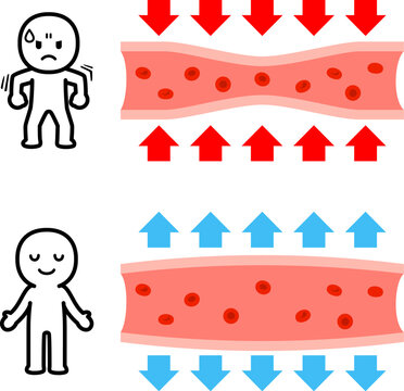 収縮する血管と拡張する血管の図