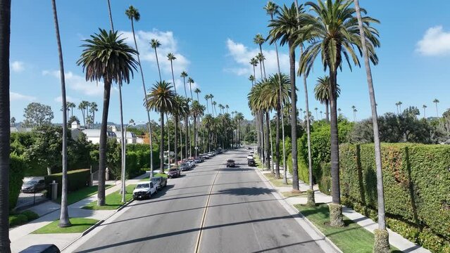 Carmelita Drive At Beverly Hills In Los Angeles United States. Famous Luxury Neighborhood. Downtown Cityscape. Carmelita Drive At Beverly Hills In Los Angeles United States.