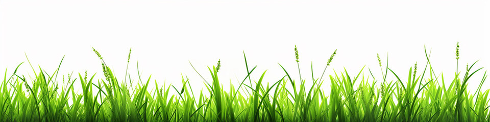 Fototapeta premium a row of 3d green grass on a white background.