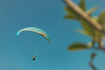 Paraglider in the sky. The sportsman flying on a paraglider.