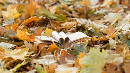 Inspired literature. Romantic autumn. Creative shooting. Opened book with putting pages like fan laying on forest ground with falling yellow leaves.