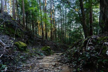 熊野古道（中辺路）