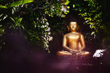 Buddha statue with closed eyes in the jungle