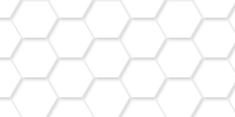 Background with lines hexagon and Abstract background hexagonal, modern abstract vector polygonal pattern. Futuristic abstract honeycomb technology white background. Luxury white hexagon pattern.