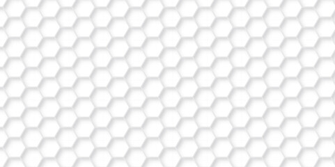 Background with lines hexagon and Abstract background hexagonal, modern abstract vector polygonal pattern. Futuristic abstract honeycomb technology white background. Luxury white hexagon pattern.