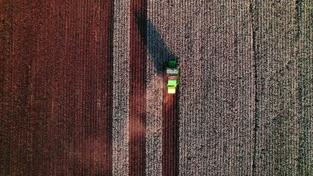 epic top down aerial of a green combine harvester collecting cotton, showcasing modern agriculture