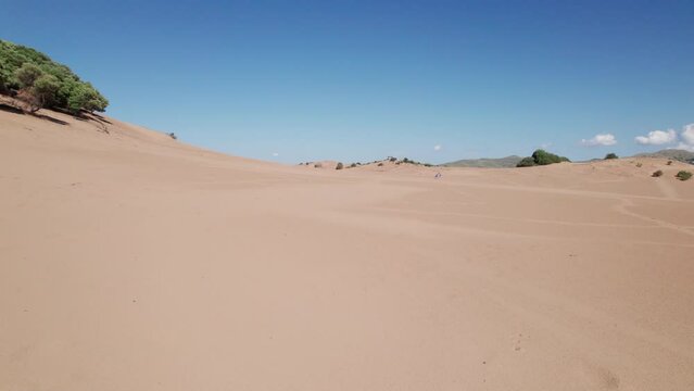 Sloping sand dune with tall shrubs growing sporadically across barren landscape