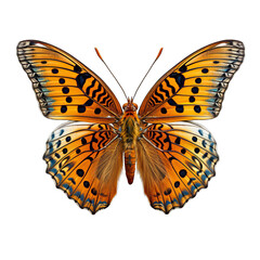 Great Spangled Fritillary Butterfly Isolated on Transparent or White Background, PNG