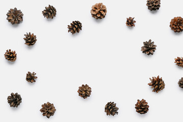 Frame made of pine cones on white background